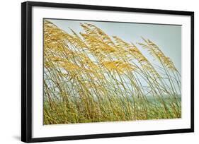 Dancing in the Wind-Mary Lou Johnson-Framed Art Print