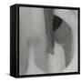 Dancing in Time I-Doug Chinnery-Framed Stretched Canvas