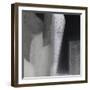 Dancing in Time II-Doug Chinnery-Framed Photographic Print