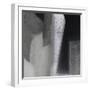 Dancing in Time II-Doug Chinnery-Framed Photographic Print