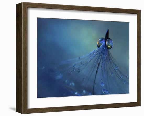 Dancing Into The Blue Night-Heidi Westum-Framed Giclee Print