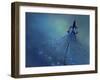 Dancing Into The Blue Night-Heidi Westum-Framed Giclee Print