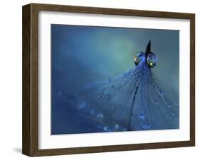 Dancing Into The Blue Night-Heidi Westum-Framed Giclee Print