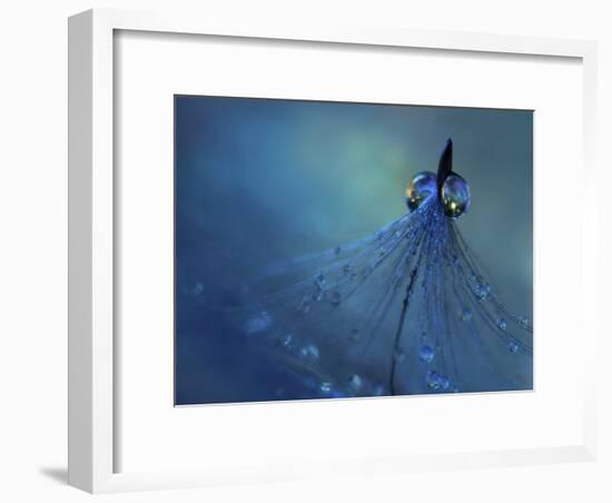 Dancing Into The Blue Night-Heidi Westum-Framed Giclee Print