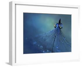 Dancing Into The Blue Night-Heidi Westum-Framed Giclee Print