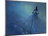 Dancing Into The Blue Night-Heidi Westum-Mounted Giclee Print