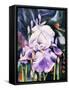 Dancing Iris-Mary Russel-Framed Stretched Canvas