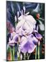 Dancing Iris-Mary Russel-Mounted Giclee Print