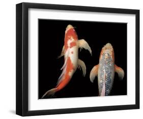 Dancing Koi I-Boyce Watt-Framed Giclee Print