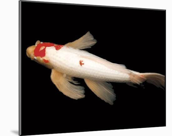 Dancing Koi II-Boyce Watt-Mounted Giclee Print