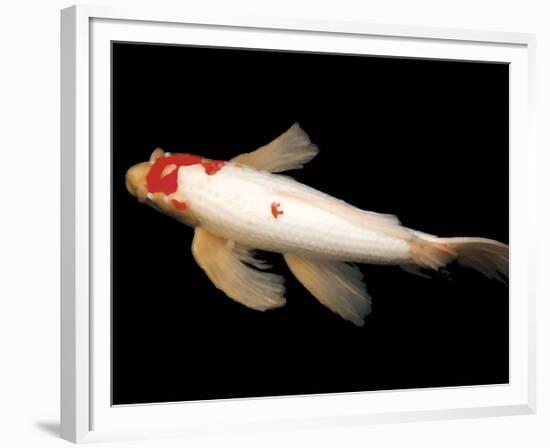 Dancing Koi II-Boyce Watt-Framed Giclee Print