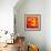 Dancing Light-Vesna Milinkovic-Framed Giclee Print displayed on a wall