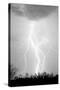 Dancing Lightning BW-Douglas Taylor-Stretched Canvas