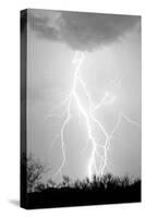 Dancing Lightning BW-Douglas Taylor-Stretched Canvas