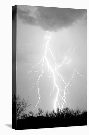 Dancing Lightning BW-Douglas Taylor-Stretched Canvas