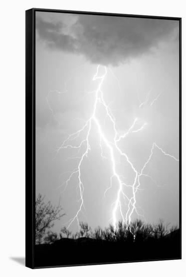 Dancing Lightning BW-Douglas Taylor-Framed Stretched Canvas