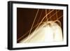 Dancing Lights I-Karyn Millet-Framed Photographic Print