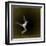 Dancing Motion III-Jean-François Dupuis-Framed Art Print