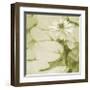 Dancing Nymphs, Sage-Heather Johnston-Framed Giclee Print