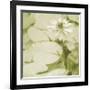 Dancing Nymphs, Sage-Heather Johnston-Framed Giclee Print