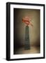 Dancing on Marble-Jai Johnson-Framed Giclee Print