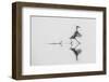 Dancing on the Water-mauro rossi-Framed Photographic Print