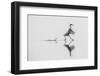 Dancing on the Water-mauro rossi-Framed Photographic Print