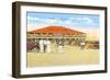 Dancing Pier, Folly Beach, Charleston, South Carolina-null-Framed Art Print