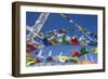 Dancing Ribbons-Andrew Geiger-Framed Giclee Print
