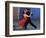 Dancing the Tango Amid Colorful Walls of La Bocoa Barrio, Buenos Aires, Argentina-Lin Alder-Framed Photographic Print