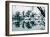 Dancing Trees in Reflection, Marin County, Northern California-Vincent James-Framed Photographic Print