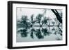 Dancing Trees in Reflection, Marin County, Northern California-Vincent James-Framed Photographic Print