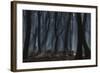 Dancing Trees-Jan Paul Kraaij-Framed Photographic Print