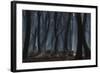 Dancing Trees-Jan Paul Kraaij-Framed Photographic Print