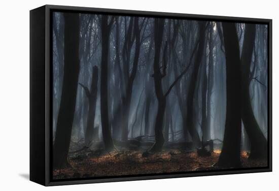 Dancing Trees-Jan Paul Kraaij-Framed Stretched Canvas