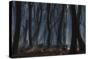 Dancing Trees-Jan Paul Kraaij-Stretched Canvas