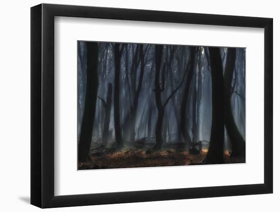 Dancing Trees-Jan Paul Kraaij-Framed Photographic Print