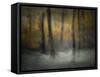 Dancing Trees-Nel Talen-Framed Stretched Canvas