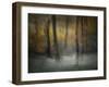 Dancing Trees-Nel Talen-Framed Photographic Print