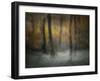 Dancing Trees-Nel Talen-Framed Photographic Print