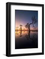 Dancing Trees-NingYun Ye-Framed Photographic Print