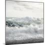 Dancing Waves-Anthony Lamb-Mounted Giclee Print