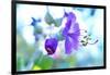 Dancing With Spring-Jacob Berghoef-Framed Photographic Print