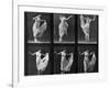 Dancing Woman, Plate 187 from 'Animal Locomotion', 1887 (B/W Photo)-Eadweard Muybridge-Framed Giclee Print