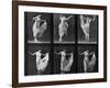 Dancing Woman, Plate 187 from 'Animal Locomotion', 1887 (B/W Photo)-Eadweard Muybridge-Framed Giclee Print