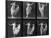 Dancing Woman, Plate 187 from 'Animal Locomotion', 1887 (B/W Photo)-Eadweard Muybridge-Mounted Giclee Print