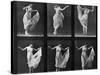 Dancing Woman, Plate 187 from 'Animal Locomotion', 1887 (B/W Photo)-Eadweard Muybridge-Stretched Canvas