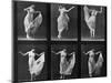 Dancing Woman, Plate 187 from 'Animal Locomotion', 1887 (B/W Photo)-Eadweard Muybridge-Mounted Giclee Print