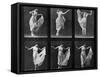 Dancing Woman, Plate 187 from 'Animal Locomotion', 1887 (B/W Photo)-Eadweard Muybridge-Framed Stretched Canvas