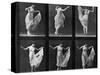 Dancing Woman, Plate 187 from 'Animal Locomotion', 1887 (B/W Photo)-Eadweard Muybridge-Stretched Canvas